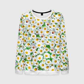 Мужской свитшот 3D с принтом Ромашки в Ухте, 100% полиэстер с мягким внутренним слоем | круглый вырез горловины, мягкая резинка на манжетах и поясе, свободная посадка по фигуре | Тематика изображения на принте: chamomile | daisies | flowers | nature | природа | растения | ромашки | текстура | цветы