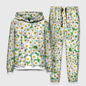 Мужской костюм 3D (с толстовкой) с принтом Ромашки в Ухте,  |  | Тематика изображения на принте: chamomile | daisies | flowers | nature | природа | растения | ромашки | текстура | цветы
