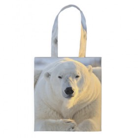 Сумка 3D повседневная с принтом Медведь в Ухте, 100% полиэстер | Плотность: 200 г/м2; Размер: 34×35 см; Высота лямок: 30 см | animal | bear | животное | зверь | медведь | миша | россия