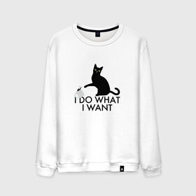 Мужской свитшот хлопок с принтом I Do What I Want в Ухте, 100% хлопок |  | Тематика изображения на принте: делаю что хочу