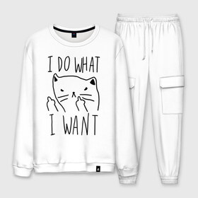 Мужской костюм хлопок с принтом Do What Want в Ухте, 100% хлопок | на свитшоте круглая горловина, мягкая резинка по низу. Брюки заужены к низу, на них два вида карманов: два “обычных” по бокам и два объемных, с клапанами, расположенные ниже линии бедра. Брюки с мягкой трикотажной резинкой на поясе и по низу штанин. В поясе для дополнительного комфорта — широкие завязки | cat | kitty | кот | кошка