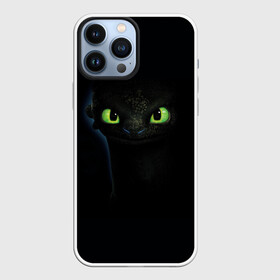 Чехол для iPhone 13 Pro Max с принтом как приручить дракона в Ухте,  |  | Тематика изображения на принте: how to train your dragon | беззубик | дракон | как приручить дракона | ночная фурия