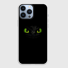 Чехол для iPhone 13 Pro Max с принтом как приручить дракона в Ухте,  |  | Тематика изображения на принте: how to train your dragon | беззубик | викинги | дракон | как приручить дракона | ночная фурия