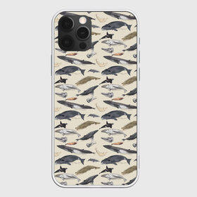 Чехол для iPhone 12 Pro Max с принтом Whales pattern в Ухте, Силикон |  | whale | акула | горбач | касатка | кашалот | кит | море | океан | рыбы | синий кит