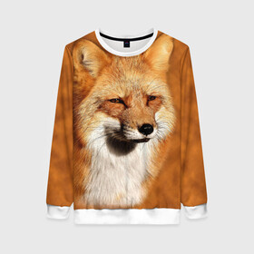 Женский свитшот 3D с принтом Лисичка в Ухте, 100% полиэстер с мягким внутренним слоем | круглый вырез горловины, мягкая резинка на манжетах и поясе, свободная посадка по фигуре | животные | зверь | лиса | лисичка | природа | рыжая | фыр