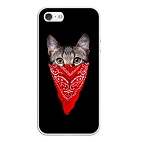 Чехол для iPhone 5/5S матовый с принтом Gangsta Cat в Ухте, Силикон | Область печати: задняя сторона чехла, без боковых панелей | Тематика изображения на принте: cat | cats | gangsta | kitten | kitty | pussy | гангстер | кот | котенок | котик | котики | коты | котята | кошка | кошки | платок