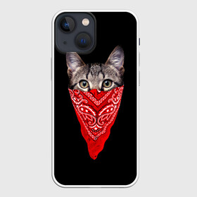 Чехол для iPhone 13 mini с принтом Gangsta Cat в Ухте,  |  | Тематика изображения на принте: cat | cats | gangsta | kitten | kitty | pussy | гангстер | кот | котенок | котик | котики | коты | котята | кошка | кошки | платок