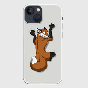 Чехол для iPhone 13 mini с принтом Лис Вцепился в Ухте,  |  | cute | fox | foxes | ginger | tail | вцепился | забавная | капаркается | лис | лиса | лисица | лисицы | лисичка | лисички | лисы | милая | рыжая | рыжие | смешная | фыр | хвост | хвосты