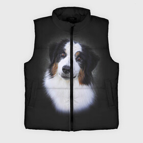 Мужской жилет утепленный 3D с принтом Собака в Ухте,  |  | голова | животные | мордочка | пес | природа | собака | щенок