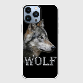 Чехол для iPhone 13 Pro Max с принтом Wolf в Ухте,  |  | волк | животные | мордочка | пес | природа | собака | хищник