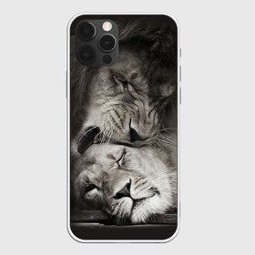 Чехол для iPhone 12 Pro Max с принтом Лев и львица в Ухте, Силикон |  | Тематика изображения на принте: животные | кот | кошка | лев | львица | оскал | природа | рык | рычит | хищник