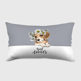 Подушка 3D антистресс с принтом Best friend в Ухте, наволочка — 100% полиэстер, наполнитель — вспененный полистирол | состоит из подушки и наволочки на молнии | backgroun | best | breed | daisies | dog | flowers | friend | green | kid | puppy | wreath | венок | графика | друг | зелёный | картинка | красивый | крутой | лучший | малыш | мода | модный | молодёжная | порода | рисунок | ромашки | собака