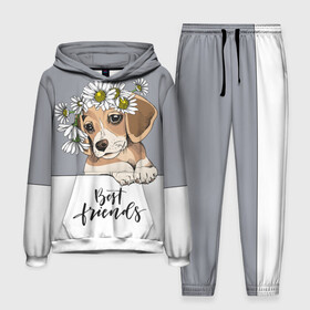 Мужской костюм 3D (с толстовкой) с принтом Best friend в Ухте,  |  | Тематика изображения на принте: backgroun | best | breed | daisies | dog | flowers | friend | green | kid | puppy | wreath | венок | графика | друг | зелёный | картинка | красивый | крутой | лучший | малыш | мода | модный | молодёжная | порода | рисунок | ромашки | собака