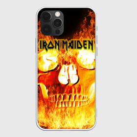 Чехол для iPhone 12 Pro Max с принтом Iron Maiden в Ухте, Силикон |  | бас | британия | брюс дикинсон | гитара | группа | дева | железная | метал | нико макбрэйн | рок | стив харрис | хеви | яник герс