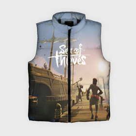 Женский жилет утепленный 3D с принтом Sea of Thieves в Ухте,  |  | blade | captain | game | hat | ken | pirate | sea of thieves | snake | sword | tatoo | woman | игры | пираты