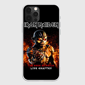 Чехол для iPhone 12 Pro Max с принтом Iron Maiden в Ухте, Силикон |  | Тематика изображения на принте: heavy metal | iron maiden | metal | айрон мейден | группы | метал | музыка | рок | хеви метал