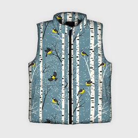 Женский жилет утепленный 3D Синички на берёзах: в Ухте,  |  | bir | birds | branches | fly | sit | tits | акварель | берёзы | ветки | графика | зима | идёт | иллюстрация | картинка | кузнечик | летят | мода | молодежная | мороз | новый год | птицы | рисунок | рождество | сидят | синий