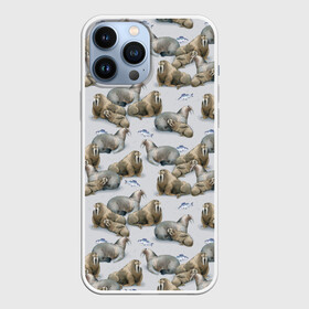 Чехол для iPhone 13 Pro Max с принтом Моржи в Ухте,  |  | Тематика изображения на принте: animals | big | f | fangs | fish | fishing | ice | lie | northern | snow | style | walruses | wild | youth | большие | графика | дикие | животные | иллюстрация | картинка | клыки | лёд | лежат | мода | молодежная | моржи | рисунок | рыба | рыбалка