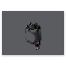 Поздравительная открытка с принтом Как приручить дракона в Ухте, 100% бумага | плотность бумаги 280 г/м2, матовая, на обратной стороне линовка и место для марки
 | детский мультфильм | детям | для детей | дракон | как приручить дракона | мультик | мультфильм