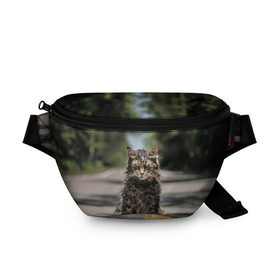 Поясная сумка 3D с принтом Dead Cat в Ухте, 100% полиэстер | плотная ткань, ремень с регулируемой длиной, внутри несколько карманов для мелочей, основное отделение и карман с обратной стороны сумки застегиваются на молнию | louis creed | pet cemetery | pet sematary | stephen king | кладбище домашних животных | луис крид | стивен кинг | ужастик