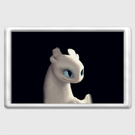 Магнит 45*70 с принтом Как приручить дракона в Ухте, Пластик | Размер: 78*52 мм; Размер печати: 70*45 | cartoon | children | dragon | how to train a dragon | детский мультфильм | детям | для детей | дракон | как приручить дракона | мультик | мультфильм