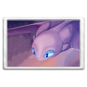 Магнит 45*70 с принтом Как приручить дракона в Ухте, Пластик | Размер: 78*52 мм; Размер печати: 70*45 | cartoon | children | dragon | how to train a dragon | детский мультфильм | детям | для детей | дракон | как приручить дракона | мультик | мультфильм