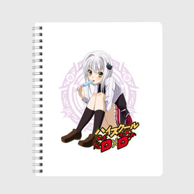 Тетрадь с принтом High School DxD в Ухте, 100% бумага | 48 листов, плотность листов — 60 г/м2, плотность картонной обложки — 250 г/м2. Листы скреплены сбоку удобной пружинной спиралью. Уголки страниц и обложки скругленные. Цвет линий — светло-серый
 | high school dxd | highschool dxd | koneko toujou | аниме | демоны старшей школы | конэко | конэко тодзё | манга | ранобэ | старшая школа dxd | старшая школа демоны против падших