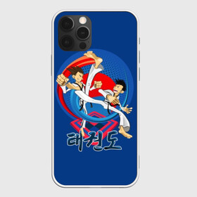 Чехол для iPhone 12 Pro с принтом Taekwondo в Ухте, силикон | область печати: задняя сторона чехла, без боковых панелей | art | attack | black | fight | fighters | hieroglyphs | jump | korean | martial arts | men | sport | style | taekwondo | wrestling | атака | боевое | бойцы | борьба | единоборства | иероглифы | искусство | кимоно | мужчины | поединок | пояса | прыжок | ра