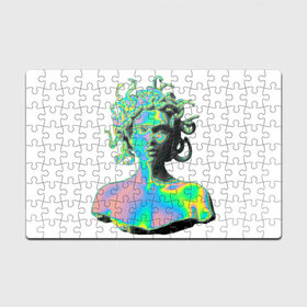 Пазл магнитный 126 элементов с принтом Gorgon Medusa в Ухте, полимерный материал с магнитным слоем | 126 деталей, размер изделия —  180*270 мм | gorgon medusa | бог | богиня | горгона медуза | змеи | змея | камень | необычно | статуя