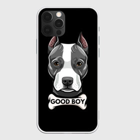 Чехол для iPhone 12 Pro Max с принтом Стаффордширский терьер в Ухте, Силикон |  | animal | bone | breed | dog | fight | head | inscription | look | muzzle | staffordshire | terrier | бойцовая | взгляд | голова | животное | кость | надпись | порода | собака | стаффордширский | терьер