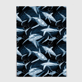 Постер с принтом Акулы  в Ухте, 100% бумага
 | бумага, плотность 150 мг. Матовая, но за счет высокого коэффициента гладкости имеет небольшой блеск и дает на свету блики, но в отличии от глянцевой бумаги не покрыта лаком | abyss | background | black | blue | bubbles | color | danger | depth | fin | mu | nature | ocean | predator | sea | shark | sharp | tail | teeth | акула | бездна | водоросли | глубина | зубы | море | океан | опасность | острые | плавник 