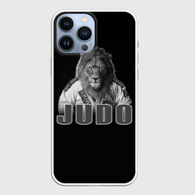 Чехол для iPhone 13 Pro Max с принтом Judo в Ухте,  |  | Тематика изображения на принте: glory | guruma | judo | kata otoshi | m 1 | ufc | бой | борьба | дзюдзюцу | дзюдо | кимоно | мотивация | мягкий | приемы | путь | сила | скорость | спорт | стиль | татами | япония