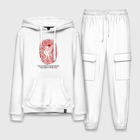 Мужской костюм хлопок с толстовкой True Red: в Ухте,  |  | fc liverpool | football | liverpool | soccer | ливер | ливерпуль | лига чемпионов | фк ливерпуль | футбол