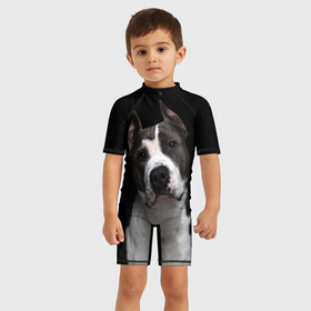 Детский купальный костюм 3D с принтом Американский питбуль в Ухте, Полиэстер 85%, Спандекс 15% | застежка на молнии на спине | animal | black | breed | bull | dog | ears | eyes | fight | fighting | image | muzzle | nose | pit bull | portrait | terrier | white | белый | боевой | бойцовая | бугай | глаза | животное | изображение | нос | пес | питбуль | порода | портрет | пс