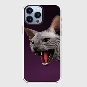 Чехол для iPhone 13 Pro Max с принтом Сфинкс в Ухте,  |  | aggressive | angry | animal | bald | breed | cat | dangerous | fangs | gray | purple | sphinx | агрессивный | животное | злой | клыки | кот | лысый | опасный | порода | серый | сфинкс | фиолетовый
