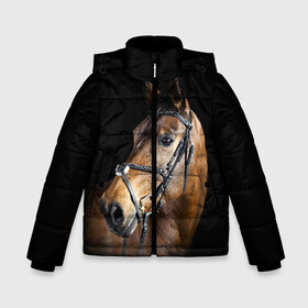 Зимняя куртка для мальчиков 3D с принтом Гнедая лошадь в Ухте, ткань верха — 100% полиэстер; подклад — 100% полиэстер, утеплитель — 100% полиэстер | длина ниже бедра, удлиненная спинка, воротник стойка и отстегивающийся капюшон. Есть боковые карманы с листочкой на кнопках, утяжки по низу изделия и внутренний карман на молнии. 

Предусмотрены светоотражающий принт на спинке, радужный светоотражающий элемент на пуллере молнии и на резинке для утяжки | animal | beautiful | black | brown | eyes | gloss | harness | horse | look | muzzle | взгляд | глаза | гнедая | гнедой | животное | конь | коричневый | красивый | лоск | лошадь | сбруя | скакун | черный