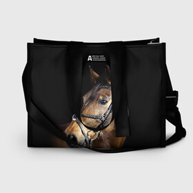 Сумка-шоппер 3D с принтом Гнедая лошадь в Ухте, 100% полиэстер | застегивается на металлическую кнопку; внутренний карман застегивается на молнию. Стенки укреплены специальным мягким материалом, чтобы защитить содержимое от несильных ударов
 | animal | beautiful | black | brown | eyes | gloss | harness | horse | look | muzzle | взгляд | глаза | гнедая | гнедой | животное | конь | коричневый | красивый | лоск | лошадь | сбруя | скакун | черный