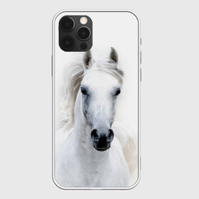 Чехол для iPhone 12 Pro Max Белая лошадь: в Ухте, Силикон |  | animal | beautiful | gloss | horse | mane | mustang | muzzle | white | wild | белый | грива | дикий | животное | конь | красивый | лоск | лошадь | мустанг | скакун