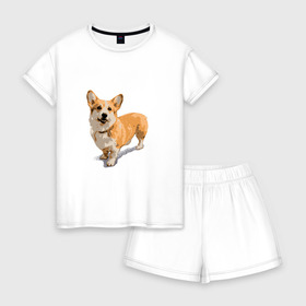Женская пижама с шортиками хлопок с принтом Собака в Ухте, 100% хлопок | футболка прямого кроя, шорты свободные с широкой мягкой резинкой | животные | пес | собака