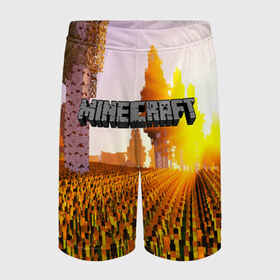 Детские спортивные шорты 3D с принтом MINECRAFT в Ухте,  100% полиэстер
 | пояс оформлен широкой мягкой резинкой, ткань тянется
 | craft | creeper | dungeon | dungeons | earth | game | logo | mine | minecraft | mobile | online | дунгеонс | земля | зомби | игра | крипер | лого | майкрафт | майнкрафт | мобайл | онлайн | подземелье | подземелья