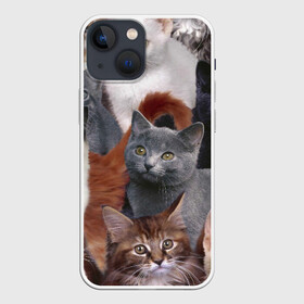 Чехол для iPhone 13 mini с принтом Много котов в Ухте,  |  | Тематика изображения на принте: кот | котишик | котишика | коты | кошка | кошки | много котов | многокотье