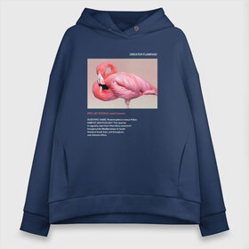 Женское худи Oversize хлопок с принтом Greater Flamingo в Ухте, френч-терри — 70% хлопок, 30% полиэстер. Мягкий теплый начес внутри —100% хлопок | боковые карманы, эластичные манжеты и нижняя кромка, капюшон на магнитной кнопке | animals | red book | red list | животные | животные из красной книги | красная книга | редкие животные | фламинго
