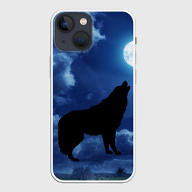 Чехол для iPhone 13 mini с принтом WOLF в Ухте,  |  | wolf | волк | луна | ночь