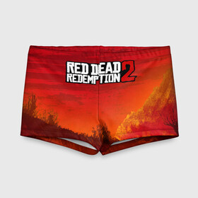 Детские купальные плавки 3D с принтом RED DEAD REDEMPTION 2 в Ухте, Полиэстер 85%, Спандекс 15% | Слитный крой, подклад по переду изделия, узкие бретели | Тематика изображения на принте: arthur morgan | cowboy | online | red dead online | red dead redemption 2 | rockstar games | wild west | артур морган | бандит | вестерн | винтовка | дикий запад | ковбой | рокстар