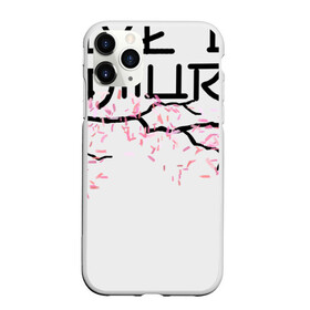 Чехол для iPhone 11 Pro матовый с принтом Never give up samurai в Ухте, Силикон |  | несдавайся | сакура | самурай