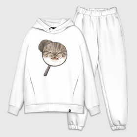 Мужской костюм хлопок OVERSIZE с принтом Злой Кот в Ухте,  |  | cat | cat meme | интернет | кот | кот кусь | кот мем | котейка | котенок | кошак | мем | мем с котом | мемы с котиками | приколы | удивленный кот мем