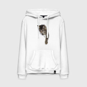 Мужская толстовка с принтом 3д кот в Ухте, френч-терри, мягкий теплый начес внутри (100% хлопок) | карман-кенгуру, эластичные манжеты и нижняя кромка, капюшон с подкладом и шнурком | Тематика изображения на принте: 3d | 3д | животные | кот | котик | кошка | прикольная картинка