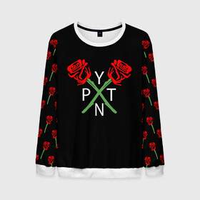 Мужской свитшот 3D с принтом PAYTON MOORMEIER - ТИКТОК в Ухте, 100% полиэстер с мягким внутренним слоем | круглый вырез горловины, мягкая резинка на манжетах и поясе, свободная посадка по фигуре | payton moormeier | tiktok | блогер | пейтон | пейтон моормиер | тикток | тиктокер | ютубер