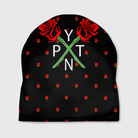 Шапка 3D PAYTON MOORMEIER - ТИКТОК: в Ухте, 100% полиэстер | универсальный размер, печать по всей поверхности изделия | payton moormeier | tiktok | блогер | пейтон | пейтон моормиер | тикток | тиктокер | ютубер