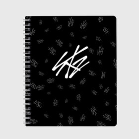 Тетрадь с принтом Stray Kids в Ухте, 100% бумага | 48 листов, плотность листов — 60 г/м2, плотность картонной обложки — 250 г/м2. Листы скреплены сбоку удобной пружинной спиралью. Уголки страниц и обложки скругленные. Цвет линий — светло-серый
 | bang chan | changbin | han | hyunjin | k pop | korean pop | lee felix | lee know | seungmin | skz | stray kids | бэнг чан | ли ноу | ли феликс | скз | стрей кидс | хан | хёнджин | чана | чангбин